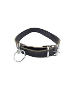Curea simpla de piele pentru caine, 2.5x55 cm (160-L508)