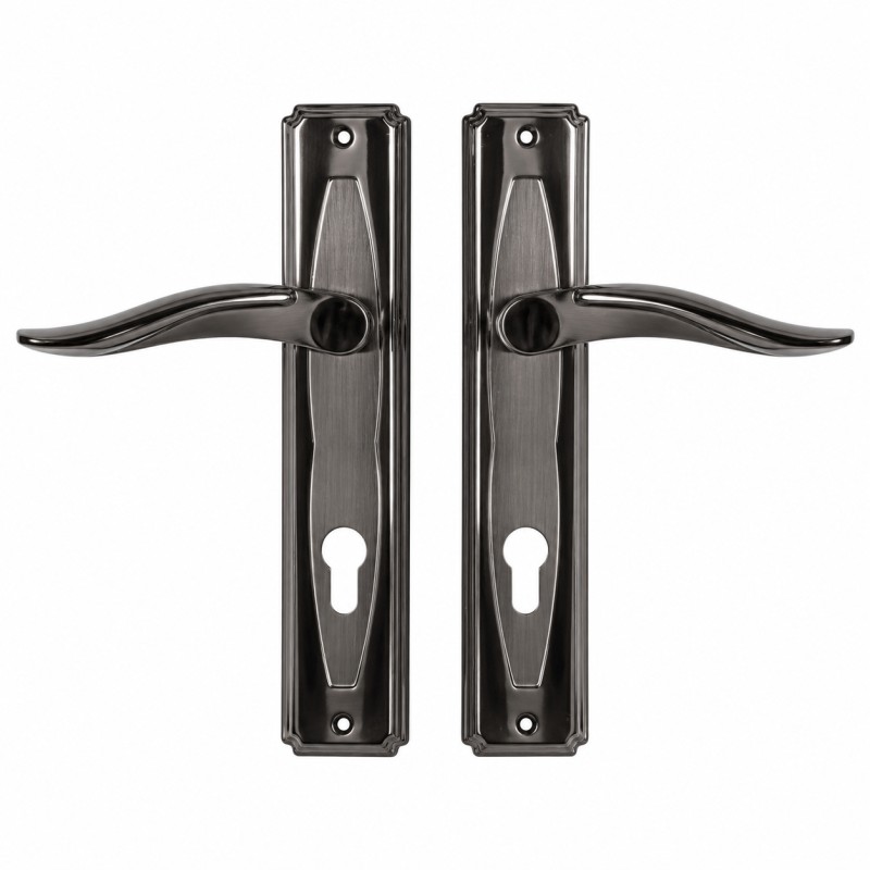 Broasca usa mare completa B5, maner, shielduri, butuc si chei