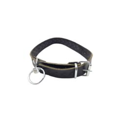 Curea simpla de piele pentru caine, 2.5x55 cm (160-L508)